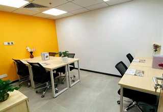 崇明区正规撸猫注意事项