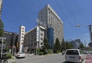 广宗玩具咨询问价